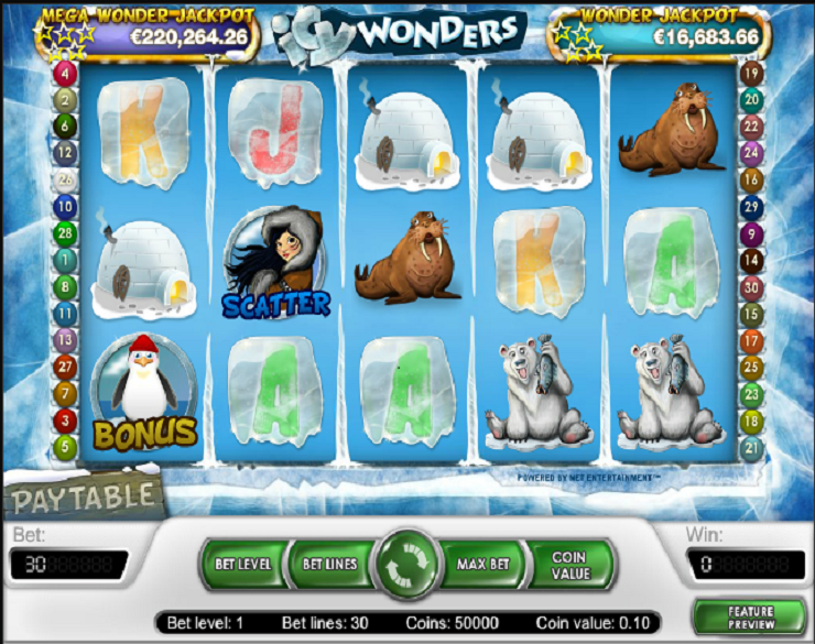 Icy Wonders