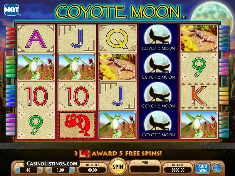 Coyote Moon