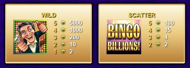 Gioco Bingo Gratis   simbolo Scatter e Wild