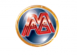 mag elettronica casino slot machines gratis